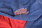 Vintage 1990s Minnesota Twins Hoodie Sweatshirt