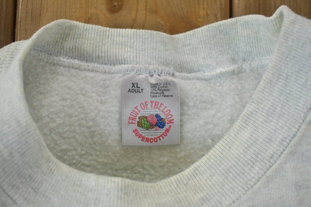 Vintage 1990s Niagara Falls Crewneck Sweatshirt / 90s Crewneck / Souvenir Sweater / Streetwear / Travel And Vacation / Rock & Roll