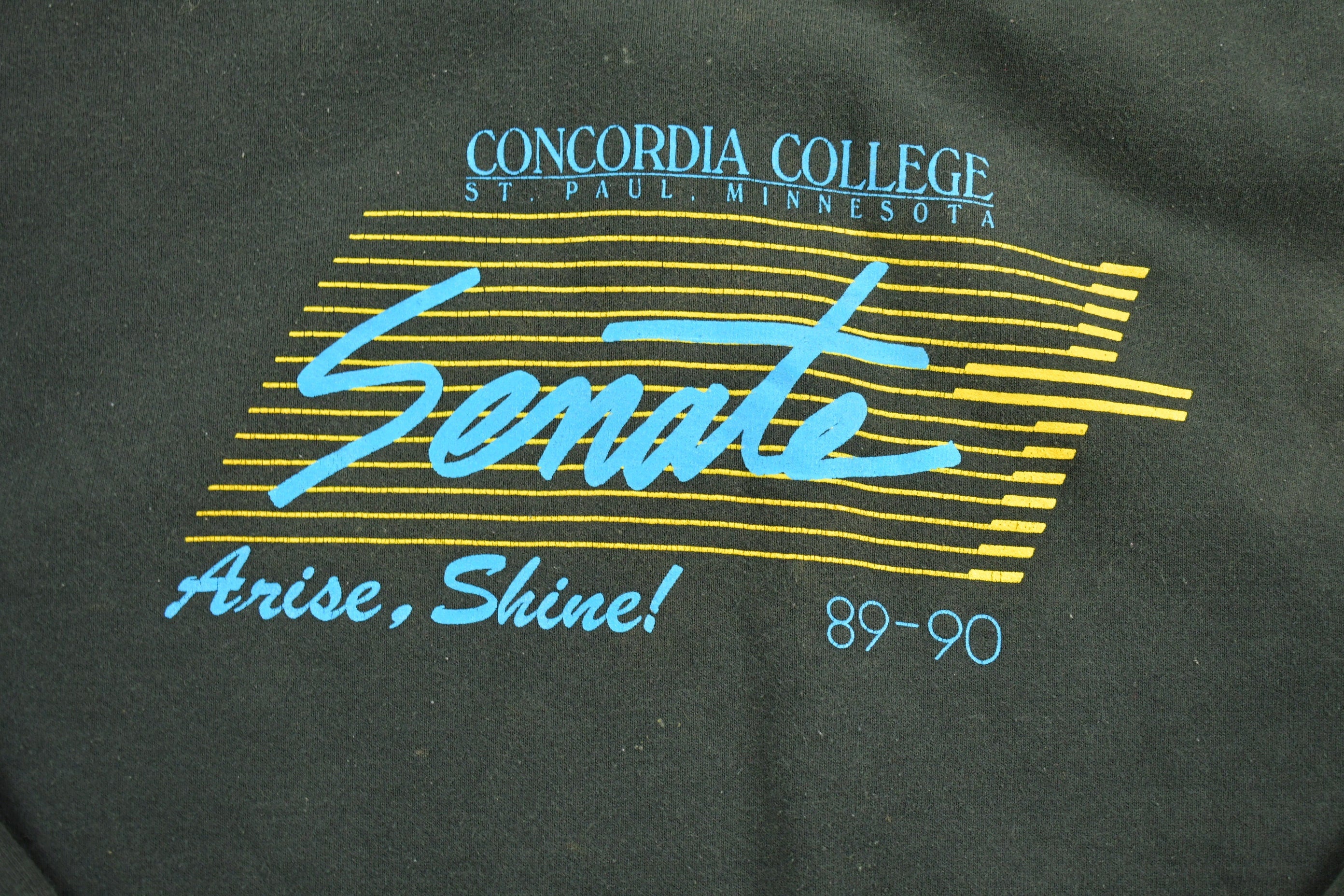 Vintage 1990 Concordia College University Crewneck