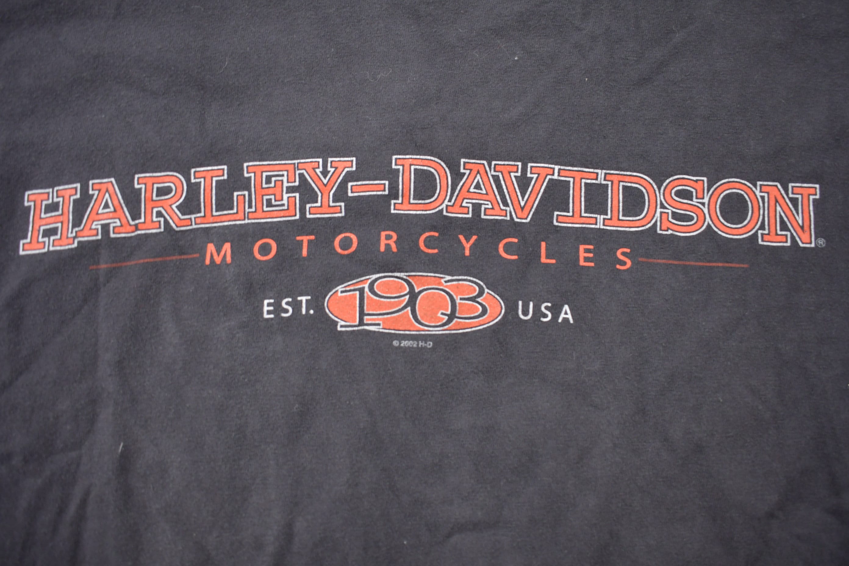 Vintage 2002 Harley Davidson Thunder Mountain Ft Collins Colorado T-Shirt