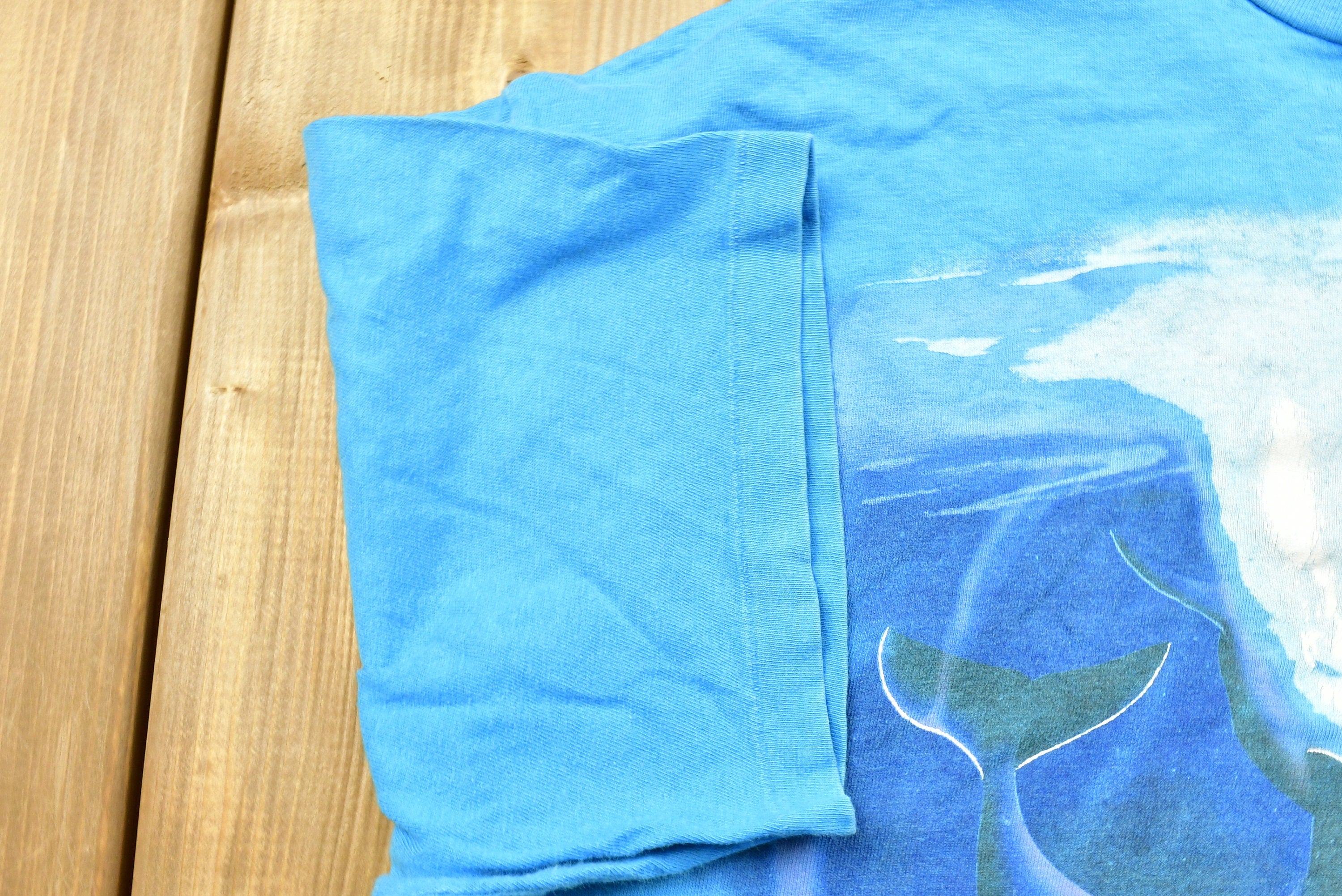 Vintage 1986 Orca Painting T-Shirt