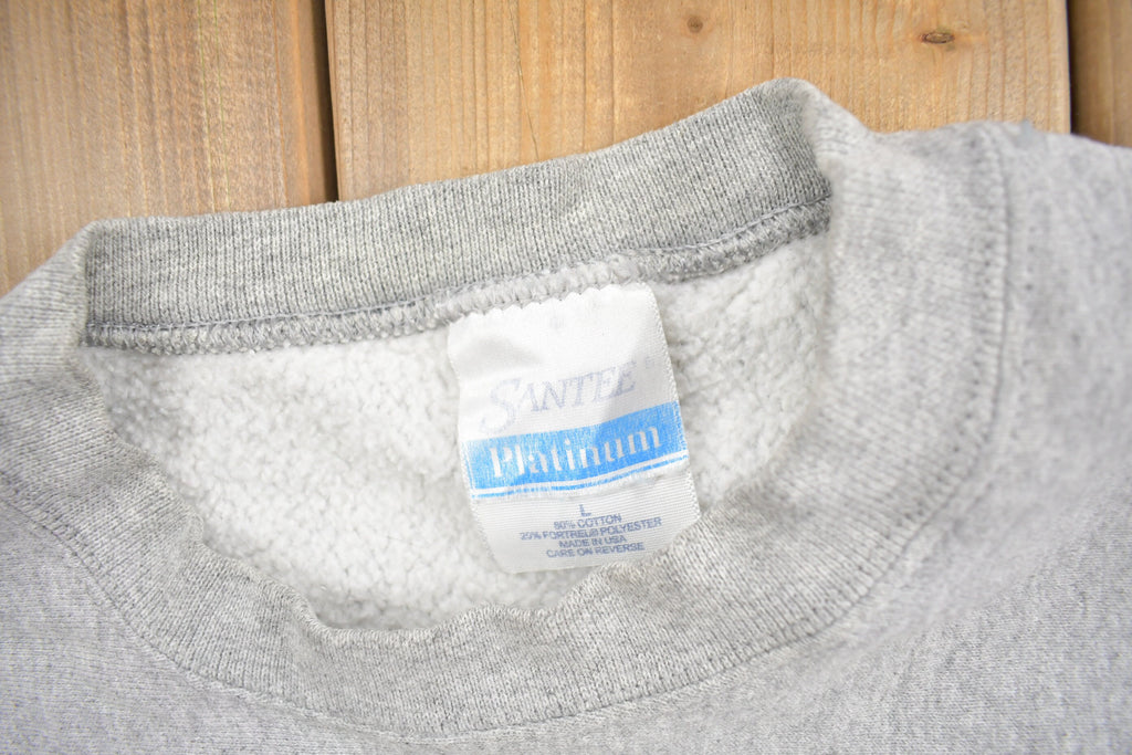 Vintage 1990s Park Rapids Panther Football Crewneck Sweatshirt