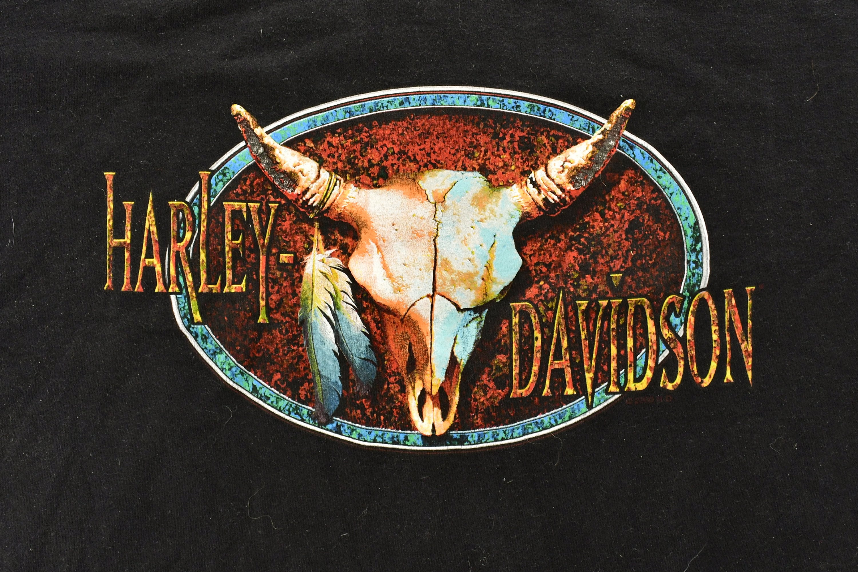 Vintage 2000 Harley Davidson Motorcycles Skull T-Shirt