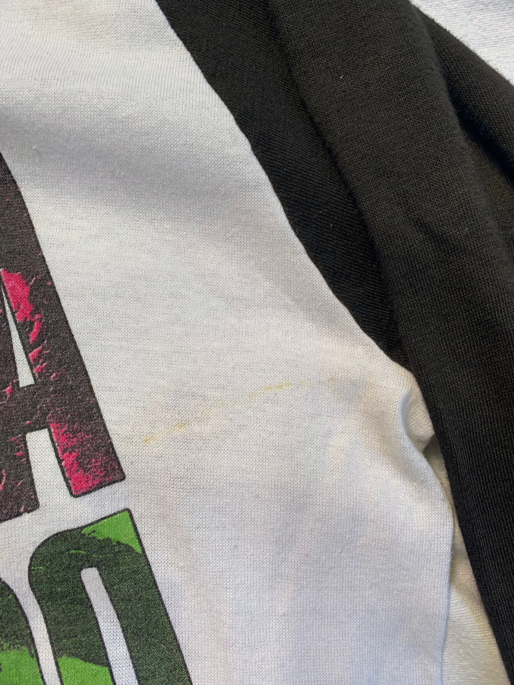 Aerosmith Raglan