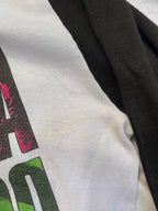 Aerosmith Raglan