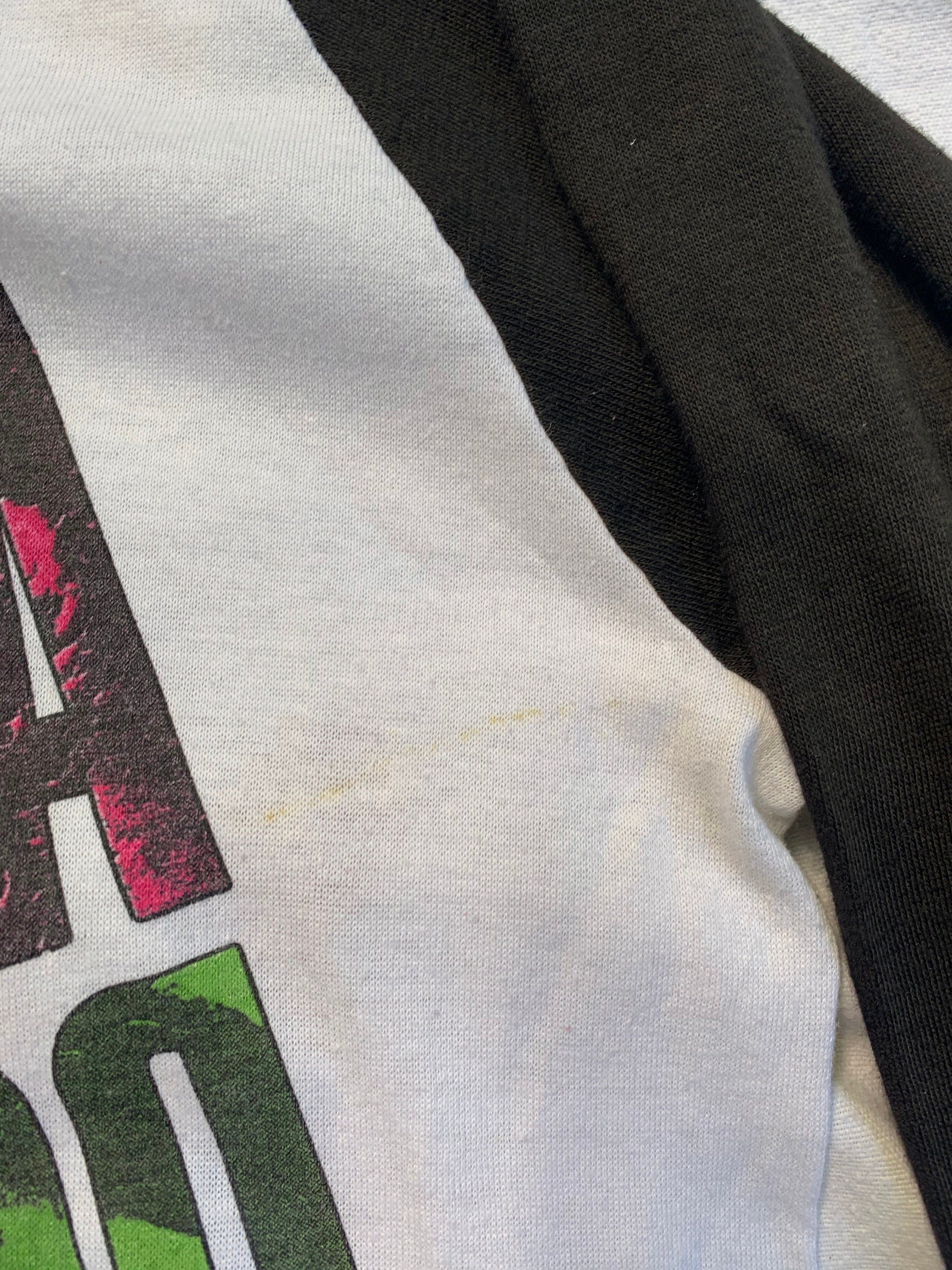 Aerosmith Raglan