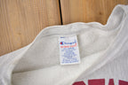 Vintage 1990s Iowa State College of Design Champion Reverse Weave Crewneck