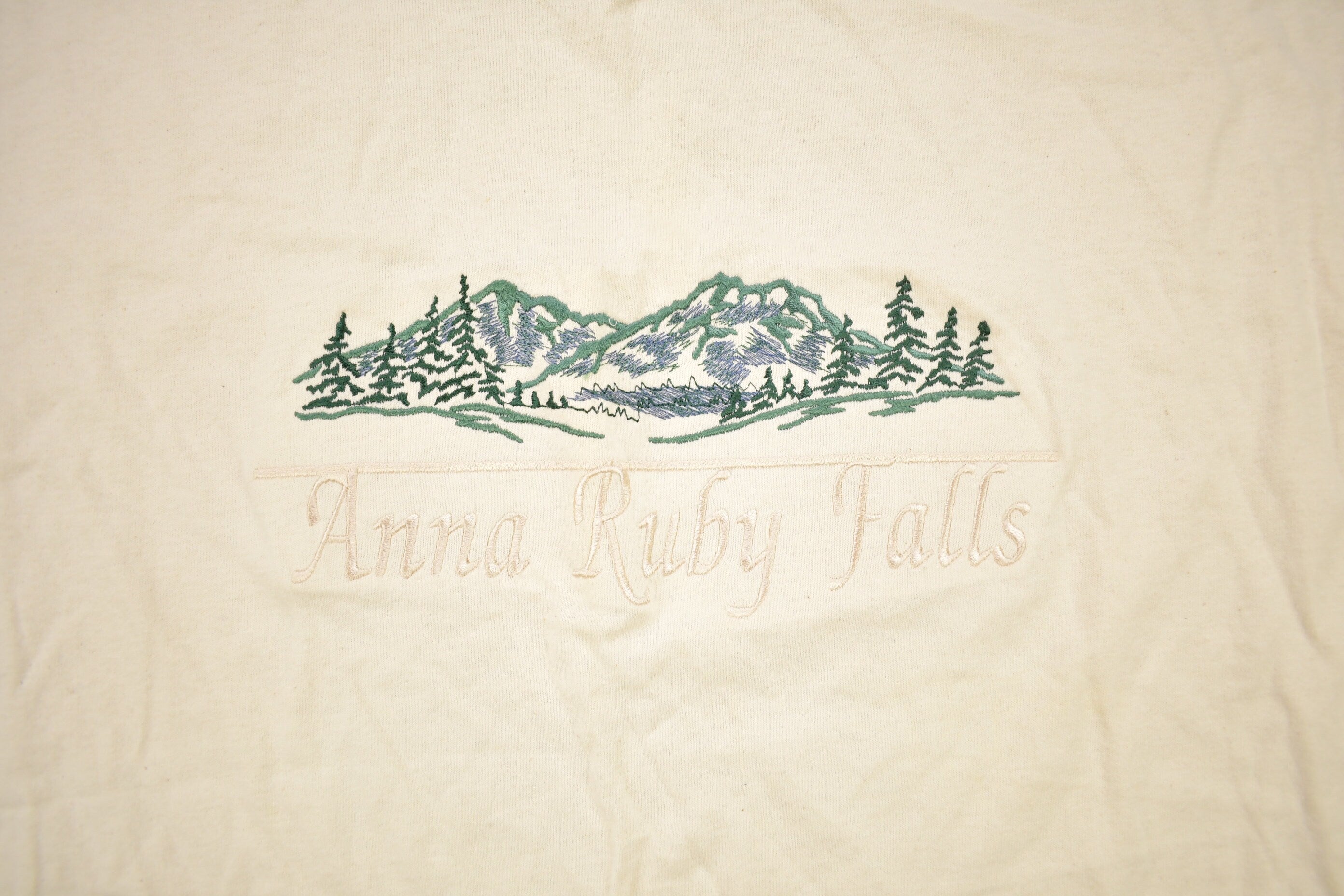 Vintage 1990s Anna Ruby Falls Embroidered Souvenir T Shirt