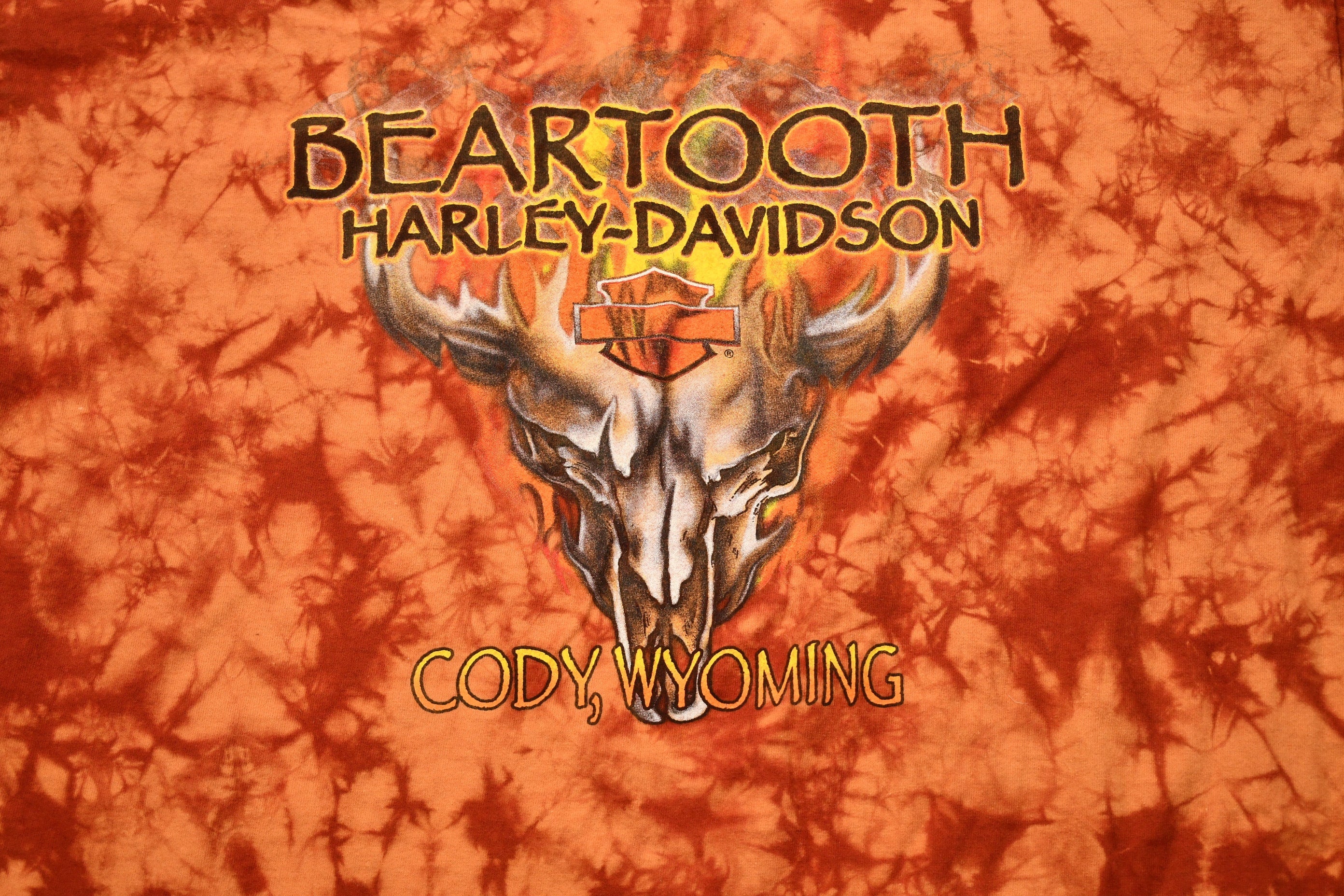 Vintage 1990s Harley Davidson Motorcycles Bear Tooth Cody Wyoming T-Shirt