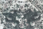 Women Vintage Vigoss Y2K Graphic Print T-Shirt / Vigoss Grunge Skull Print / Contrast Stitch / Internet Famous Clothing / Over Dyed