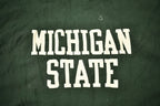 Vintage 1980s Michigan State University Champion Reverse Weave Warmup Crewneck  Made In USA  NCAA Sweatshirt  Sportswear  Americana