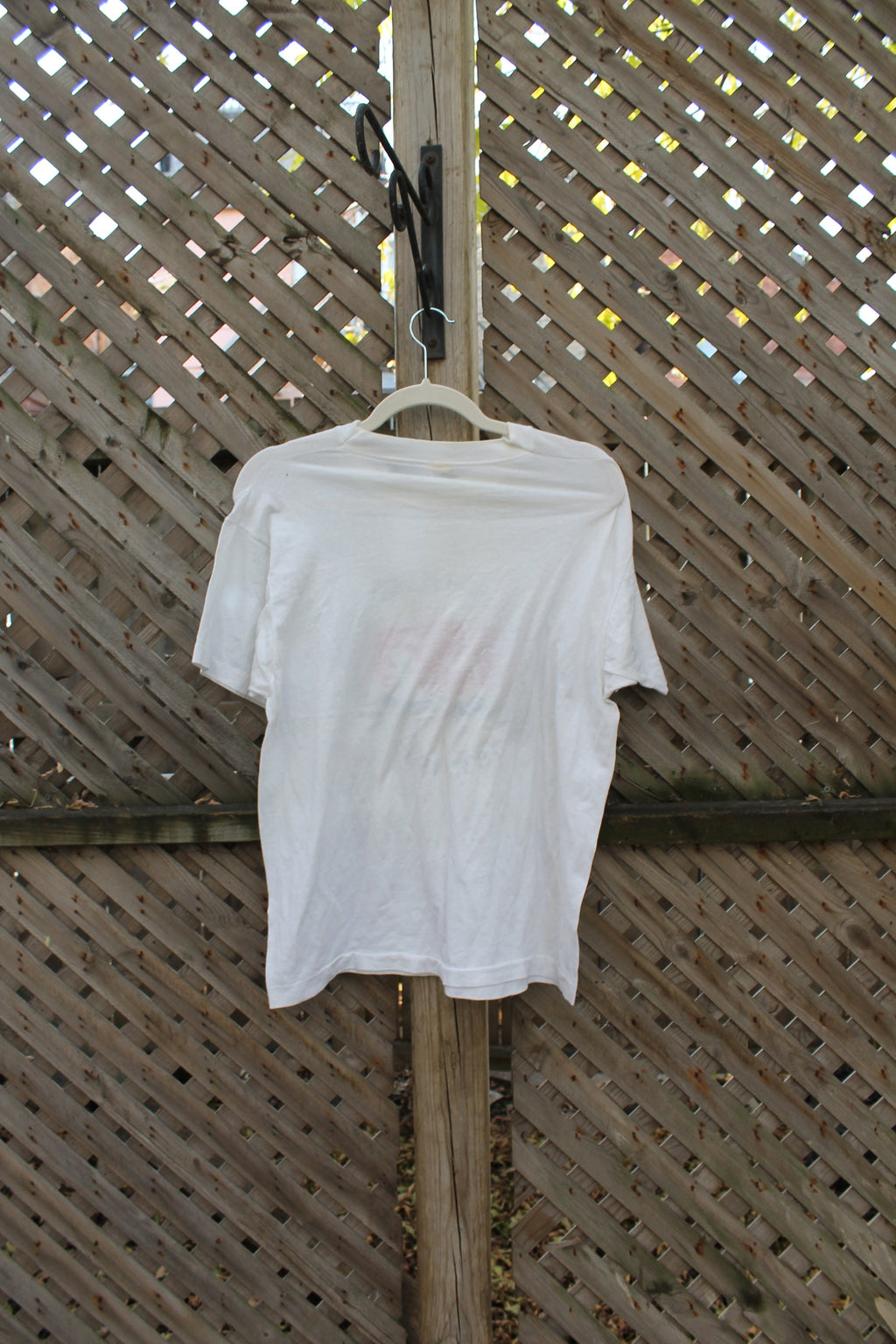 Vintage 1987 Michigan Sesquicentennial Graphic T Shirt