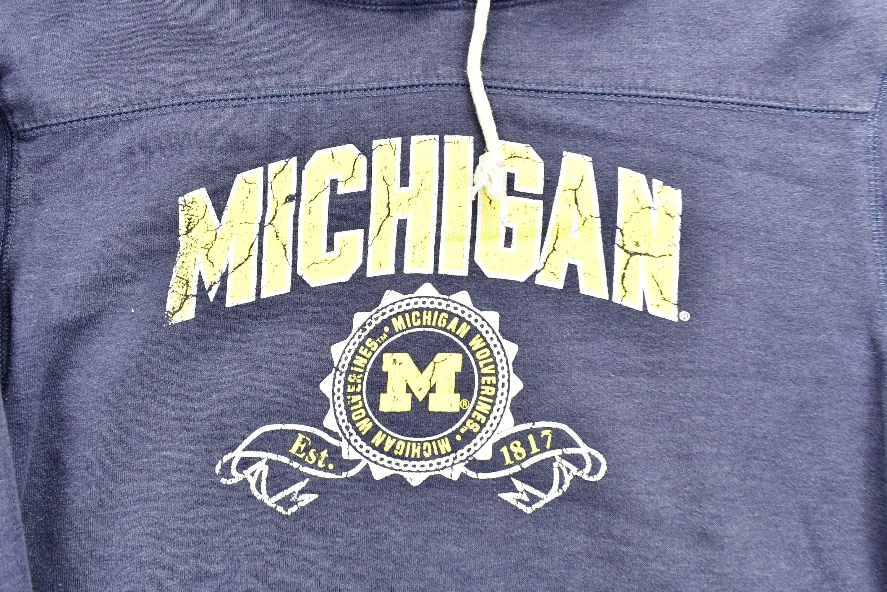 Vintage 90's University of Michigan State Collegiate Hoodie