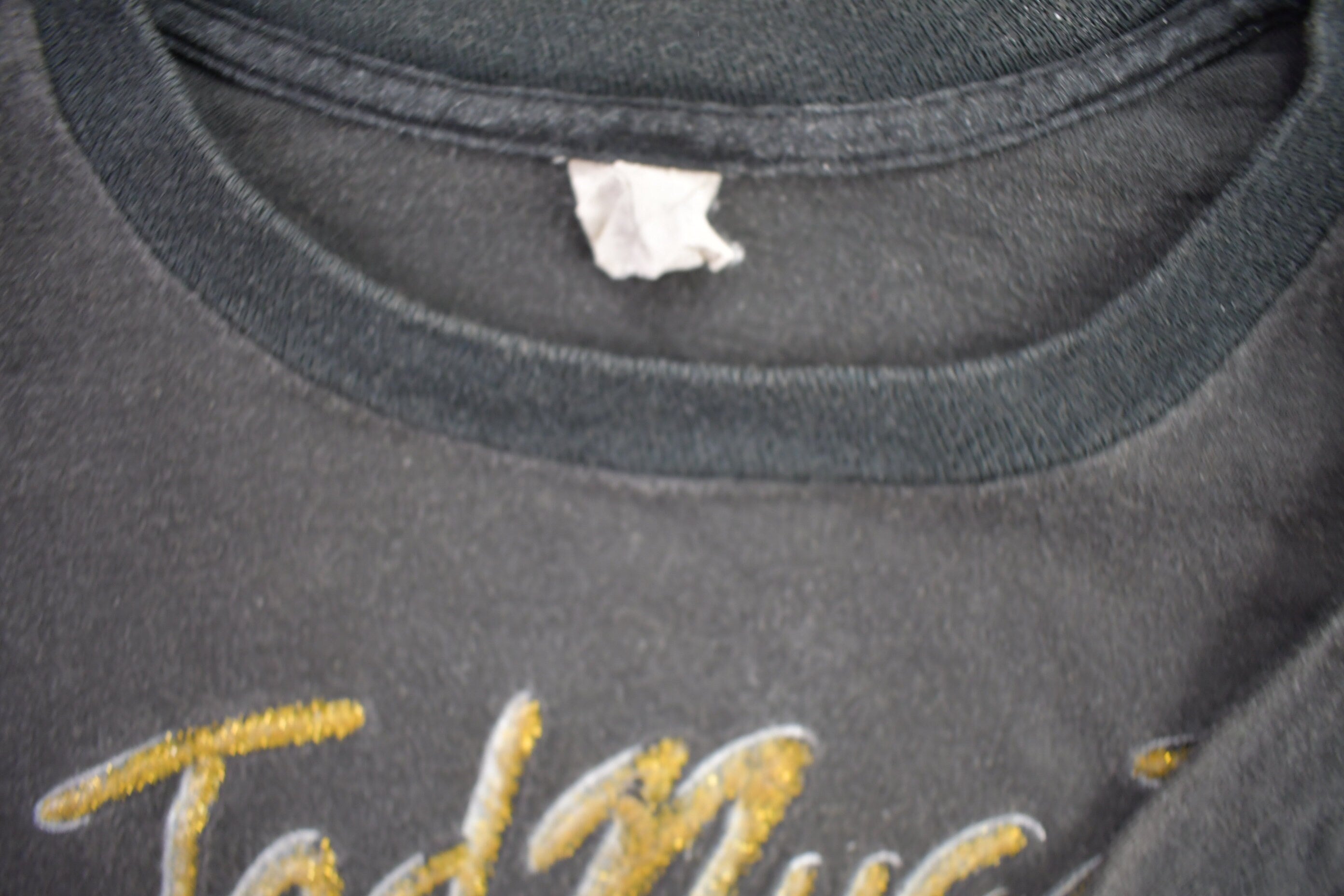 Vintage 1980s Ted Nugent Aragon Concert Band T-shirt