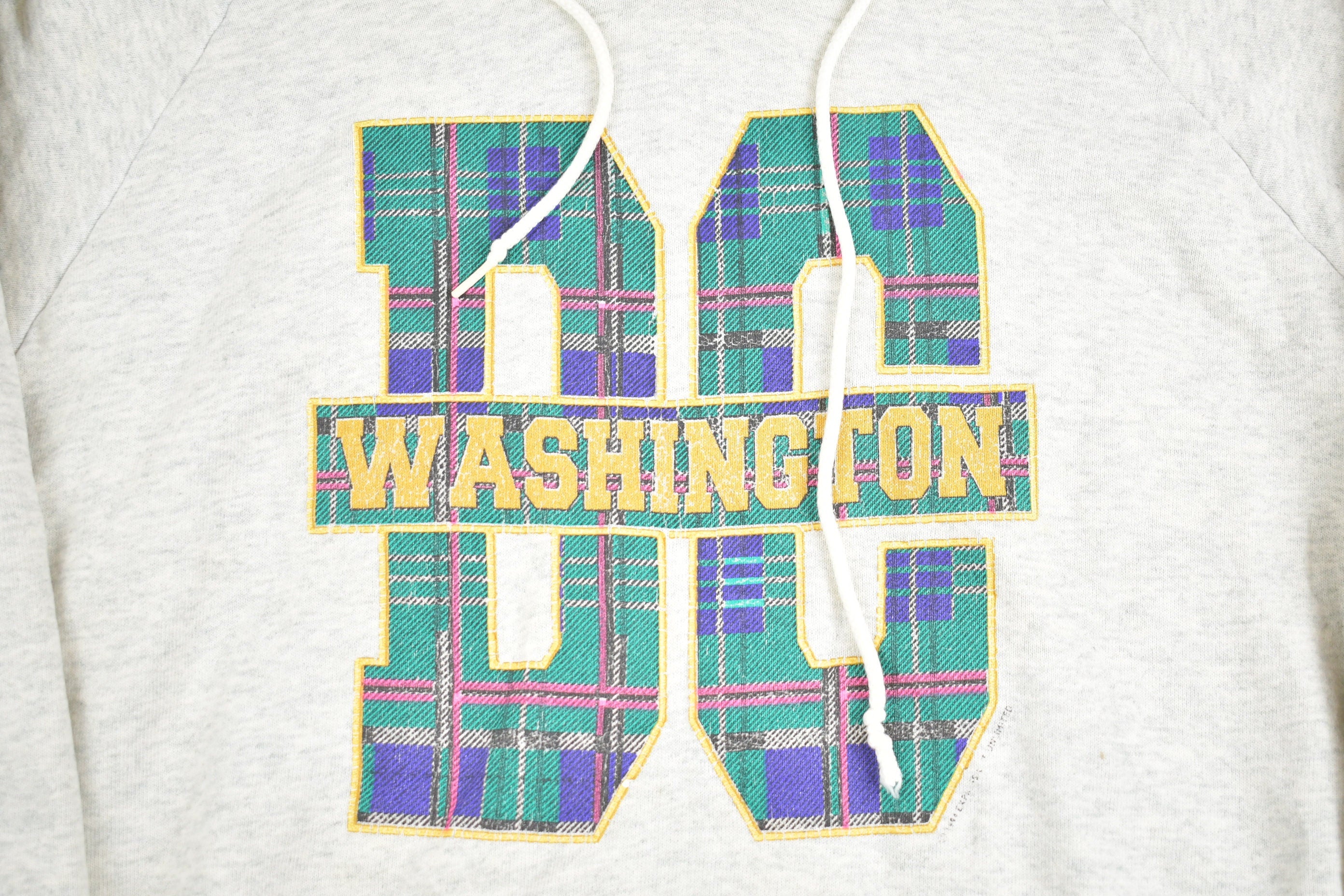 Vintage 1990s Washington DC Hoodie