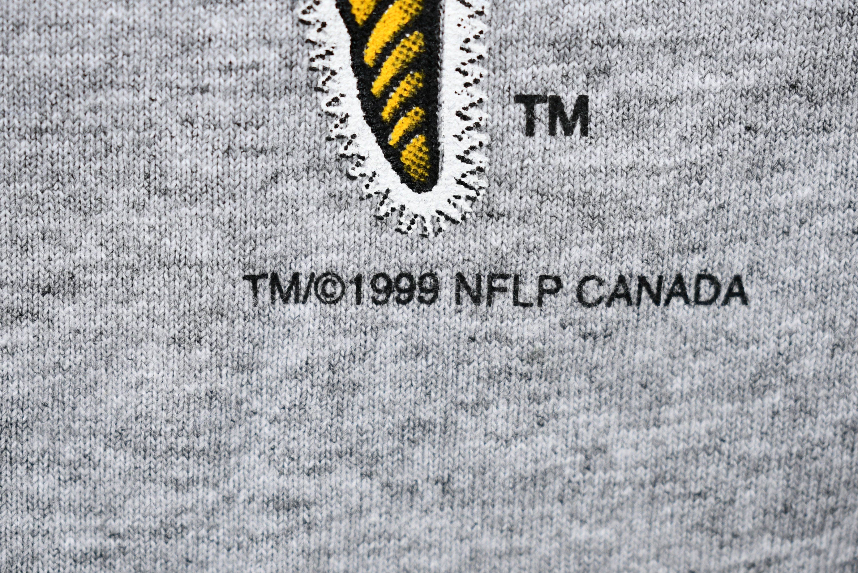 Vintage 1999 Minnesota Vikings T-Shirt