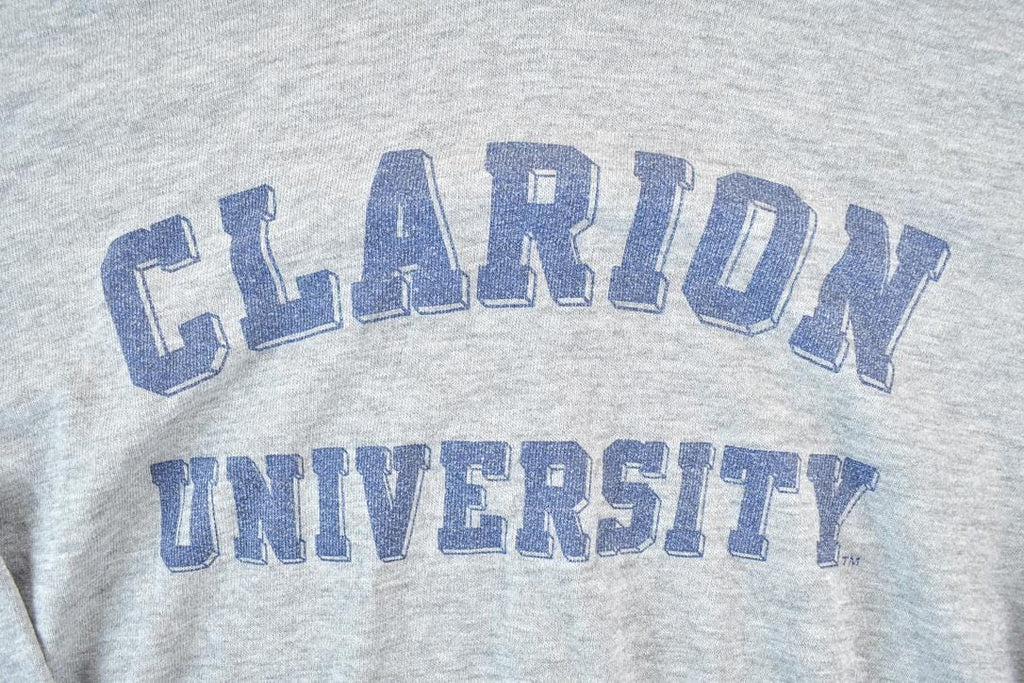 Vintage 1990s Clarion University Hoodie Mens M
