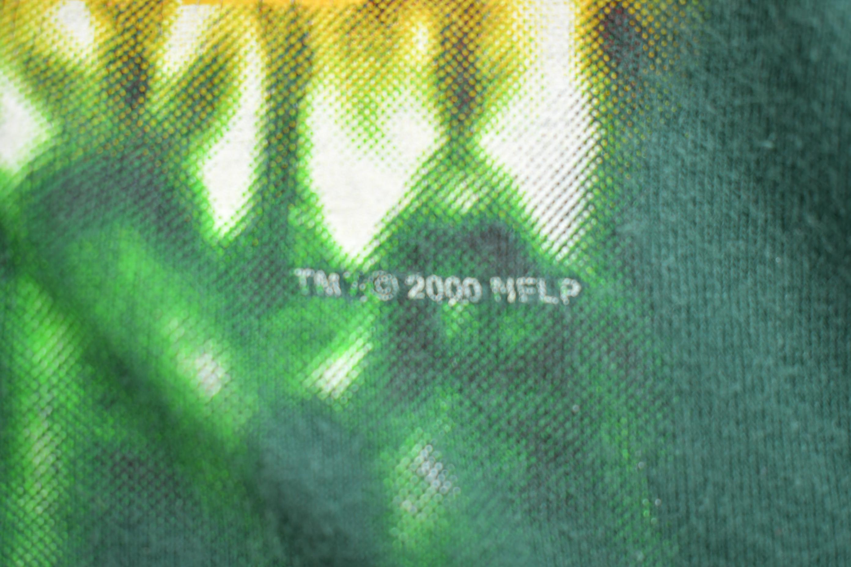 Vintage 2000s NFL Green Bay Packers T-Shirt Size Medium