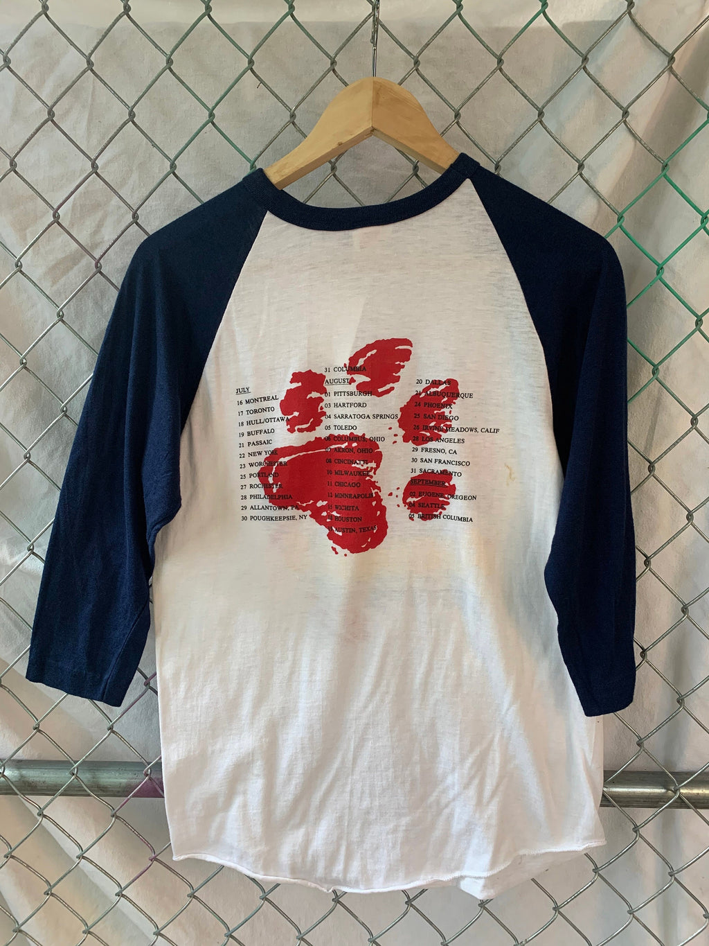 Animals Raglan