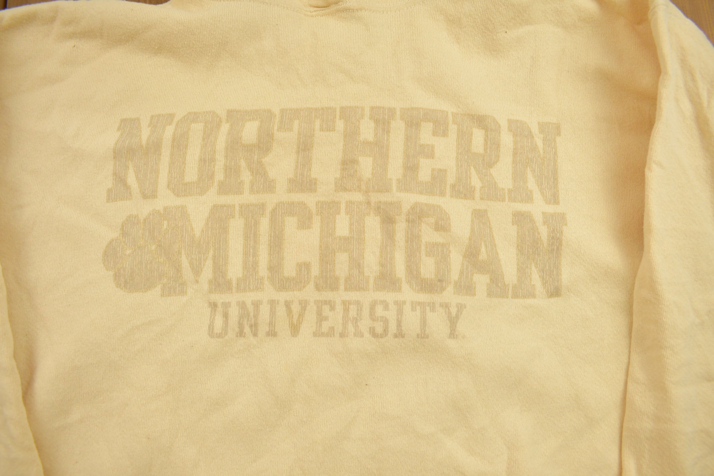 Vintage 1990s Northern Michigan Collegiate Hoodie