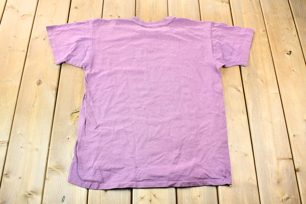 Vintage 1990s Denali National Park Alaska Single Stitch Graphic T-Shirt