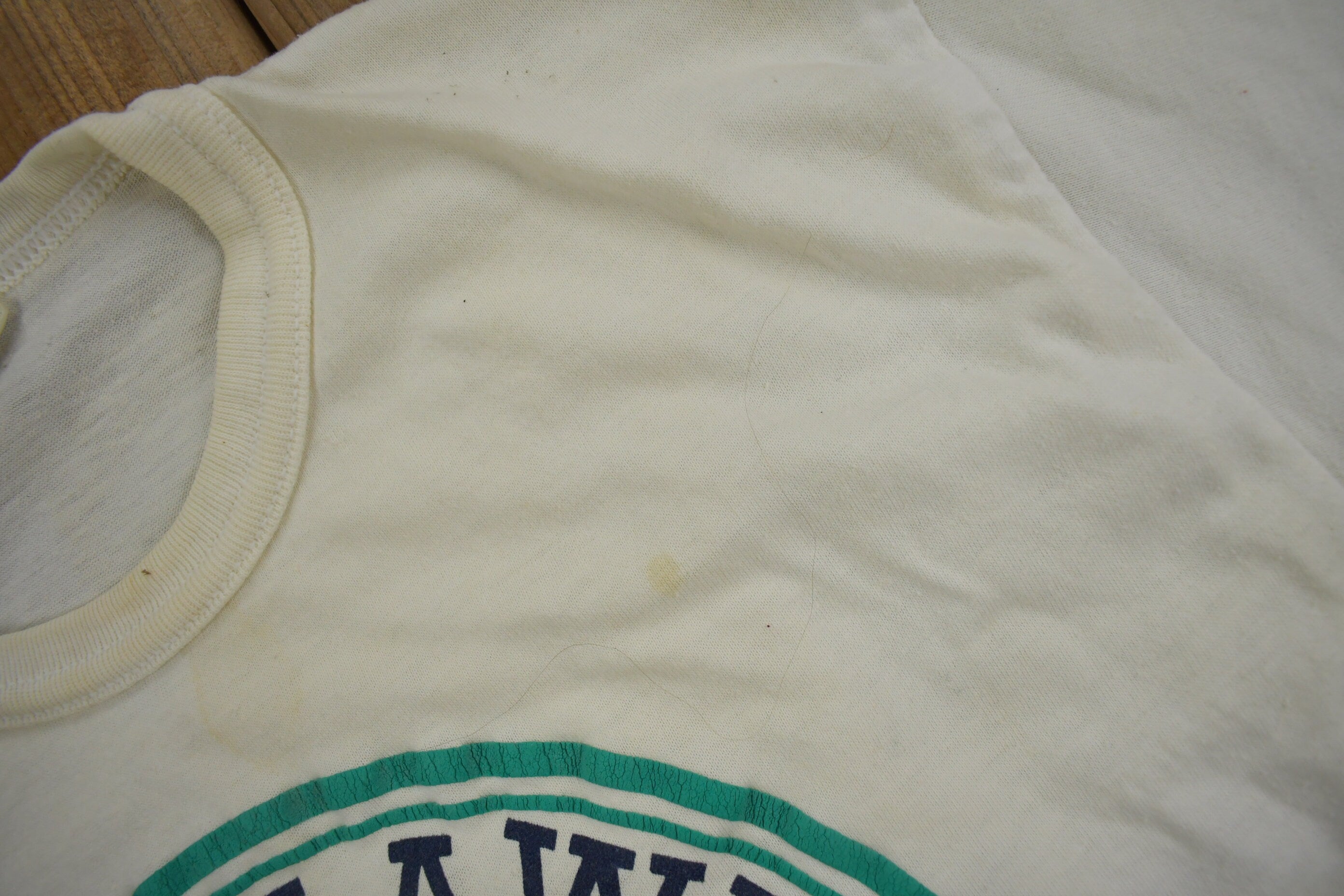 Vintage 1990s Fanshawe London Collegiate T-Shirt
