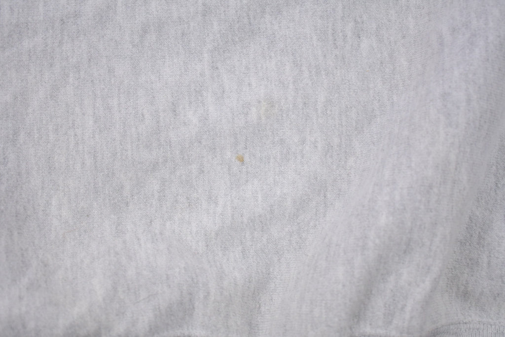 Vintage 1990s Champion Reverse Weave AO Athletics Sweatshirt