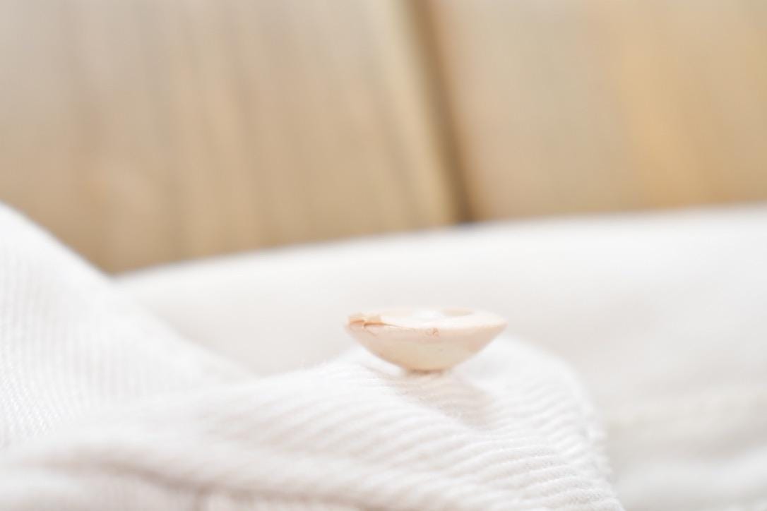 Vintage 1980s L.L. Bean Long Sleeve Button Up Shirt Made In USA