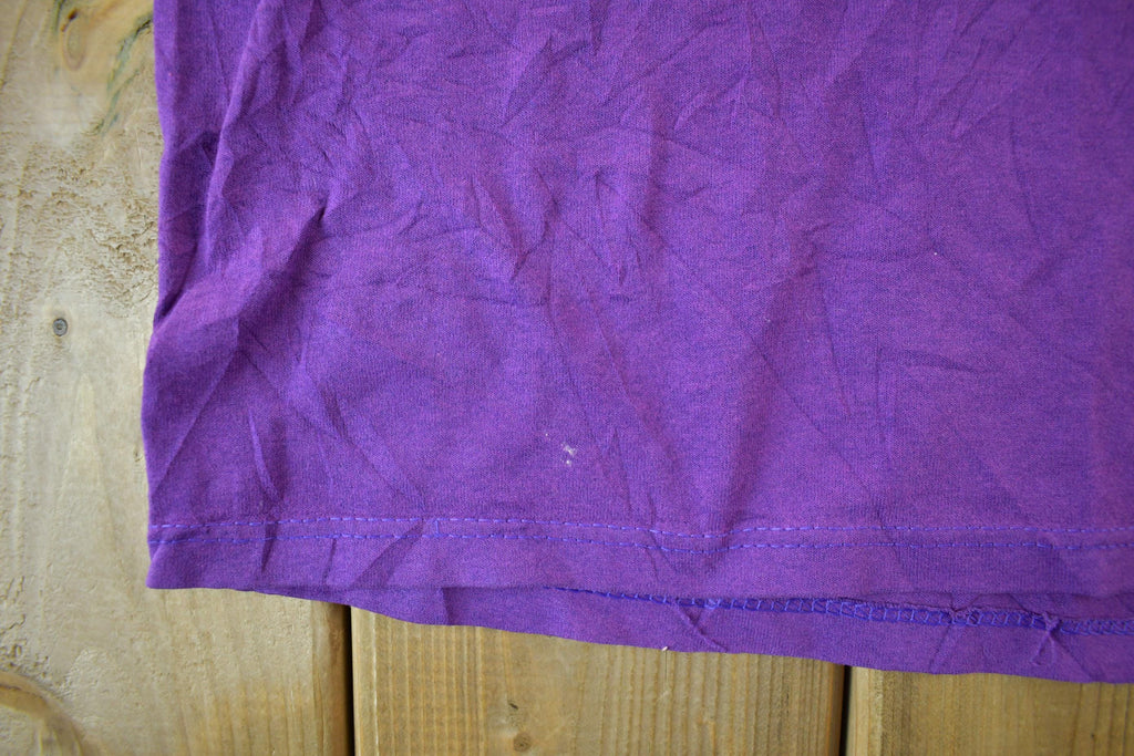 Vintage 1990s Minnesota Vikings NFL Graphic T-Shirt/ Made In USA / V Neck Jersey Tee / Single Stitch / 90s Sportswear / Mens XL