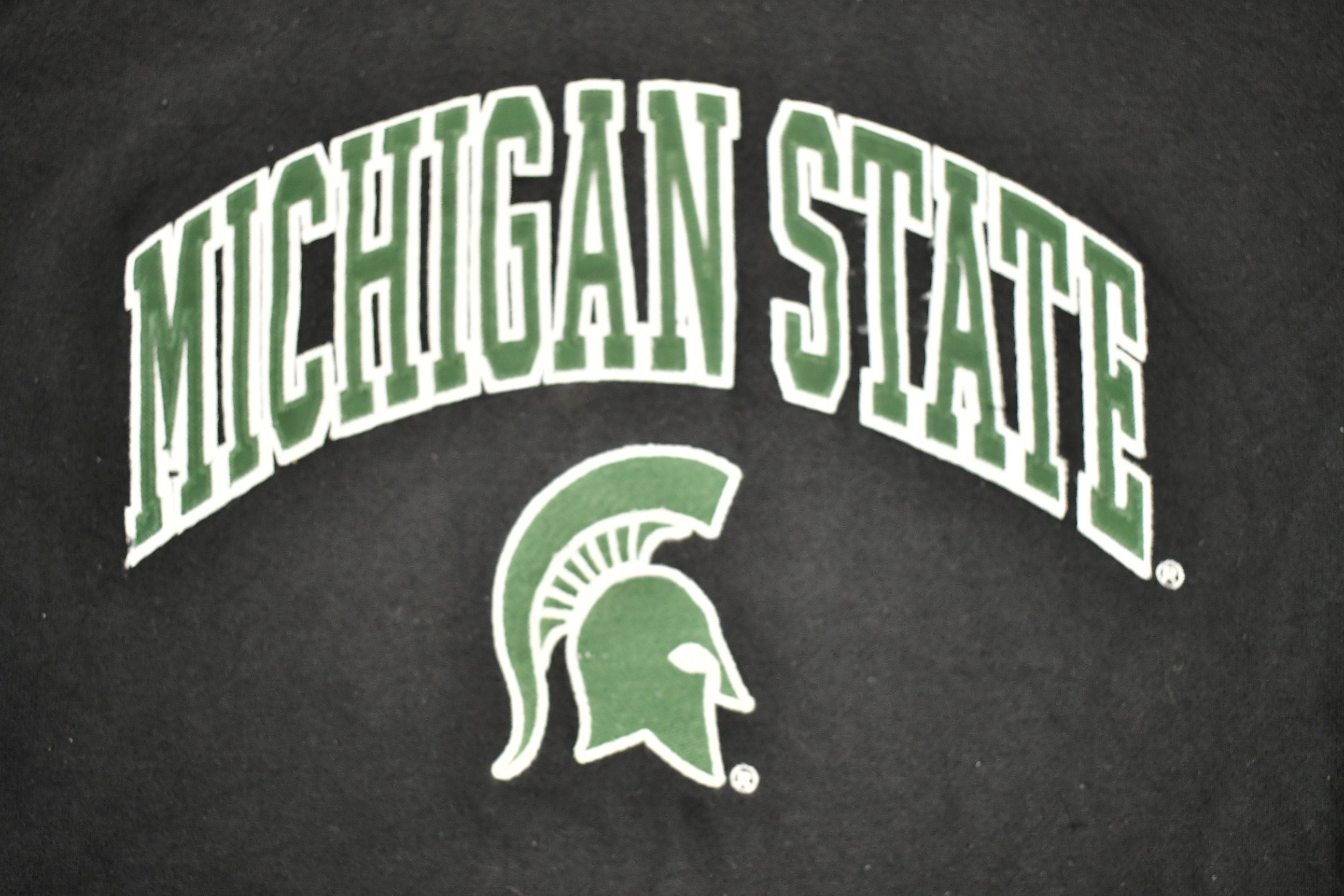 Vintage 1990s University of Michigan State Spartans Collegiate Hoodie