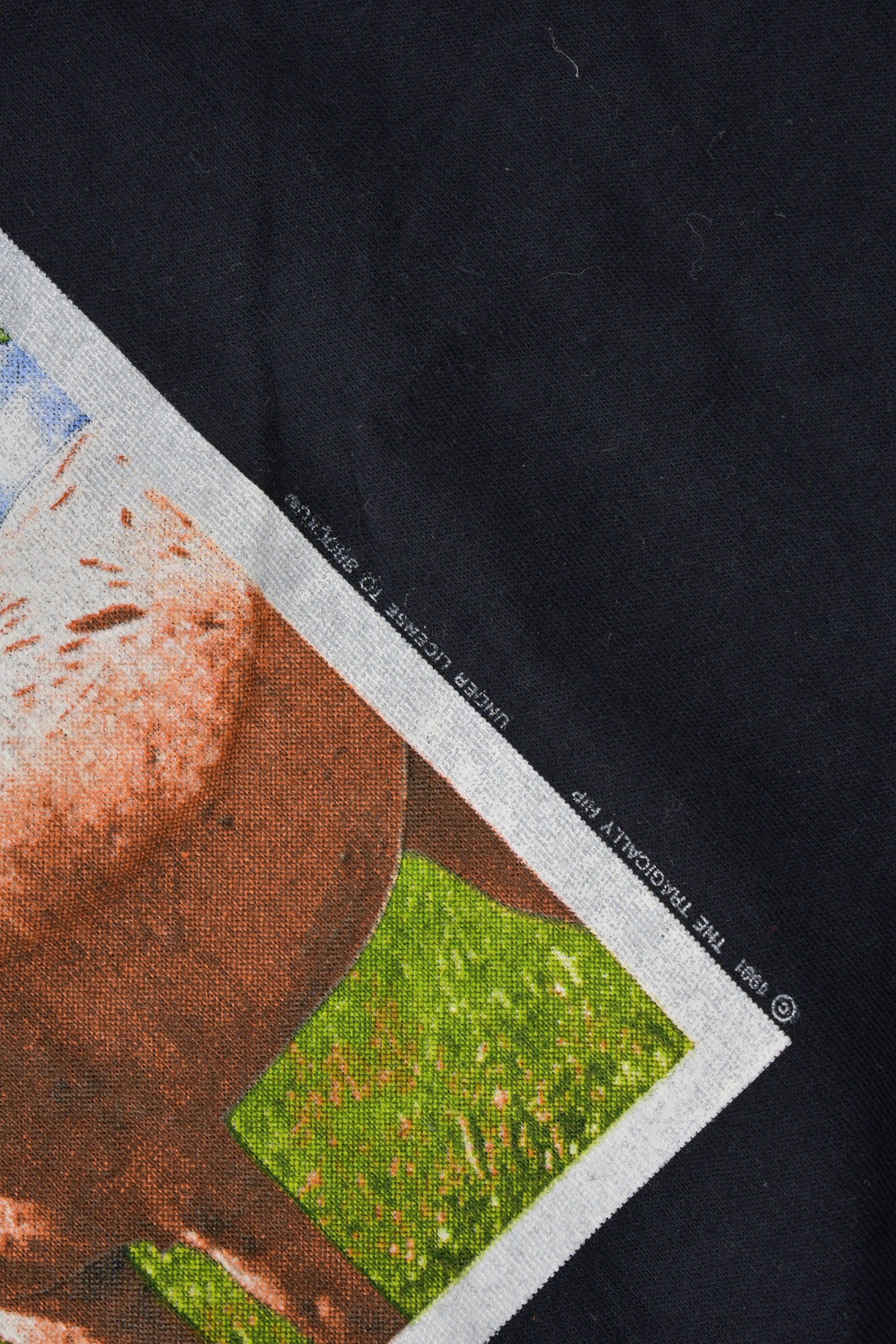 Vintage 1991 Deadstock The Tragically Hip Road Apples Single Stitch Band Tee Made in USA