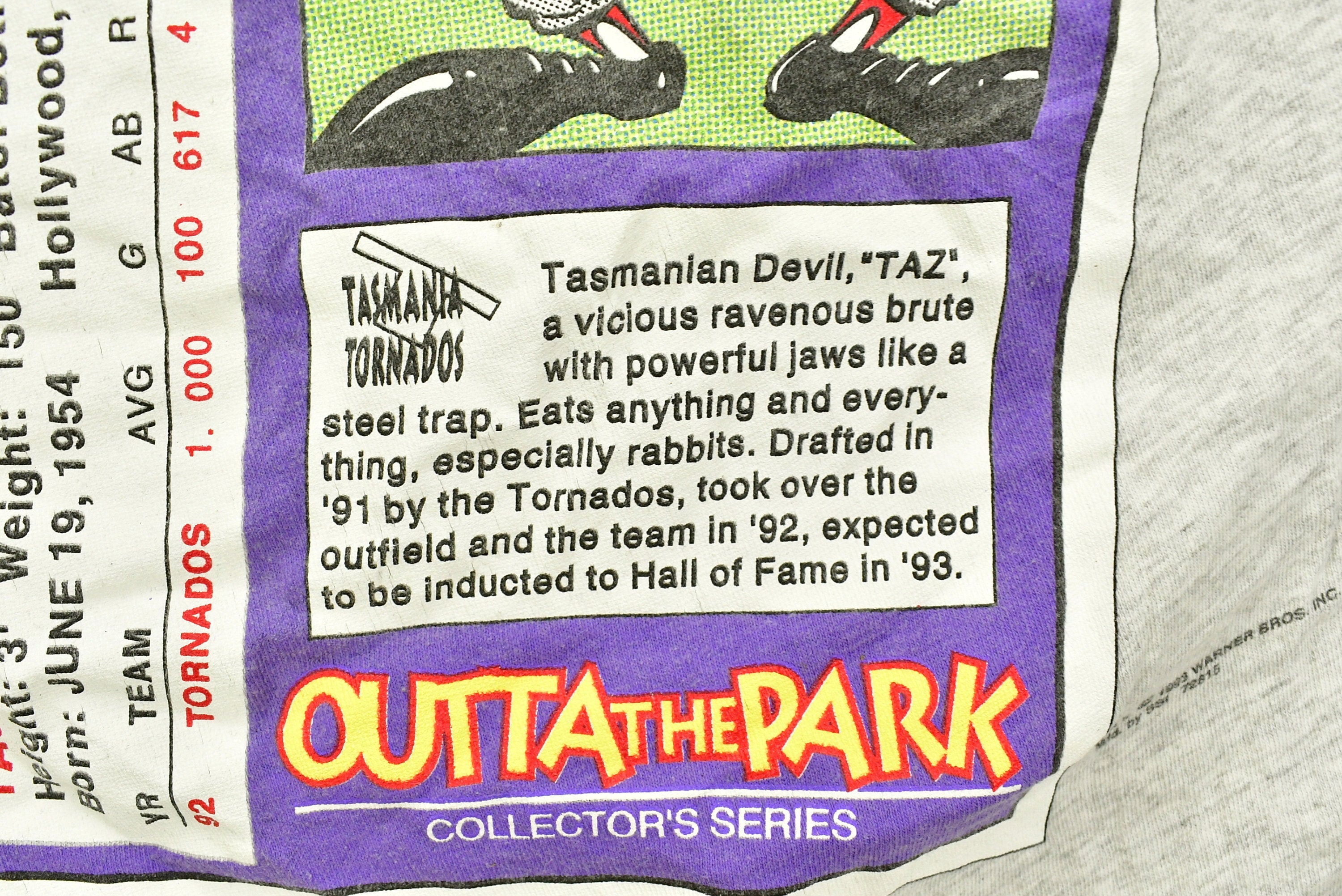 Vintage 1993 Tasmanian Devil Baseball Cartoon T-Shirt