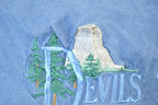 Vintage 1990s Desert Heat Devils Tower Wyoming Embroidered Souvenir T-Shirt