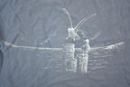 Vintage 1990s Bahamas Birds Souvenir Single Stitch Graphic Print T-Shirt Made In