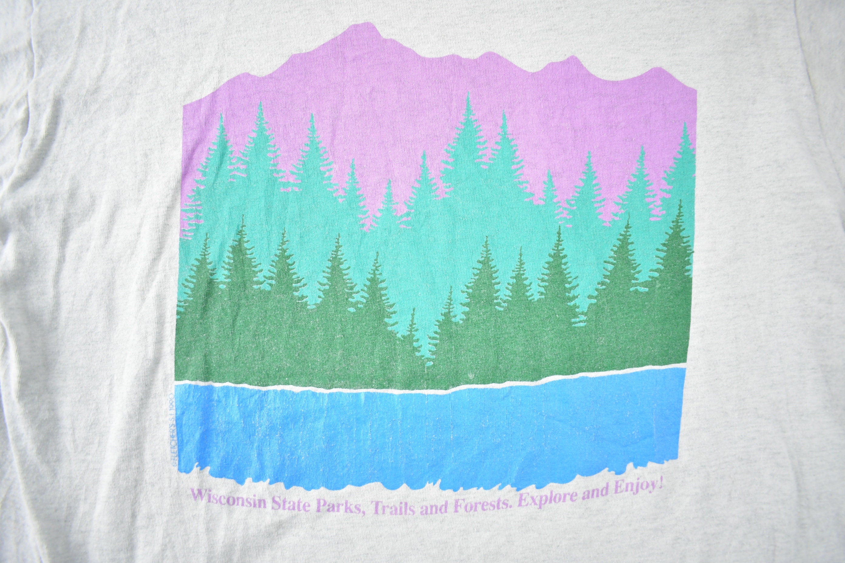 Vintage 1990s Wisconsin State Parks Souvenir Single Stitch T Shirt Made In USA Size XL