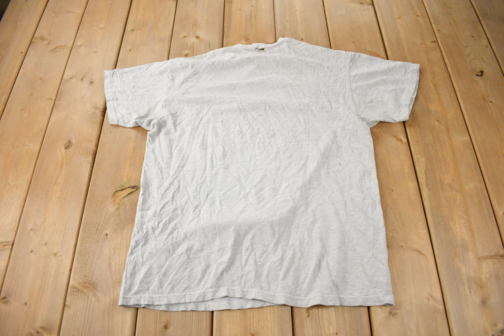 Vintage 1990s ALBERT CITY IOWA Graphic T Shirt Size M