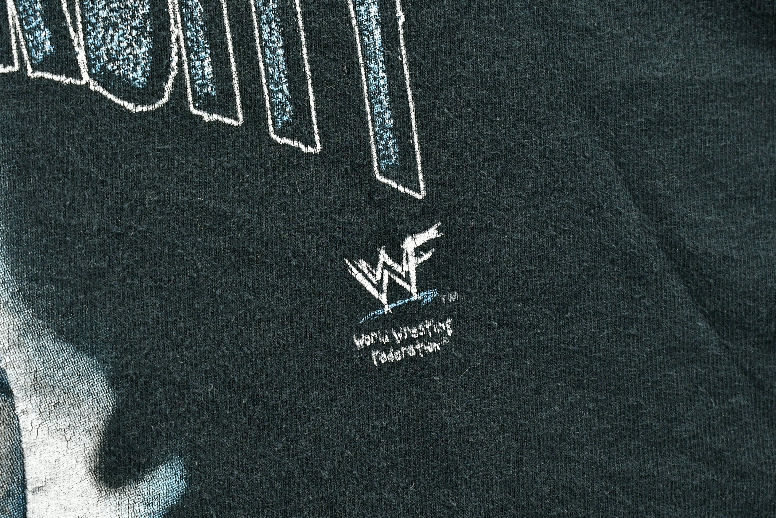 Vintage 1998 Stone Cold University Wrestling T-Shirt