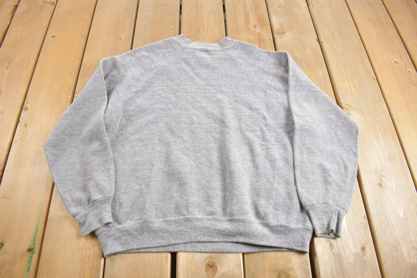 Vintage 1970s Albert Einstein Raglan Crewneck Sweatshirt / 70s Crewneck / Made In USA / True Vintage