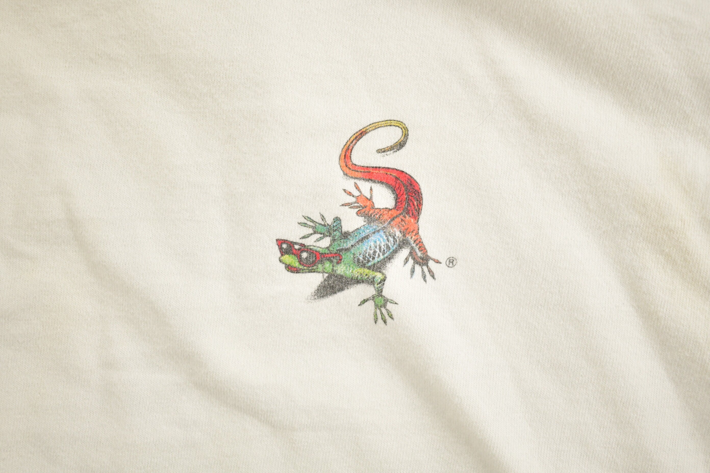 Vintage Y2K Caribbean Lizard Souvenir T Shirt