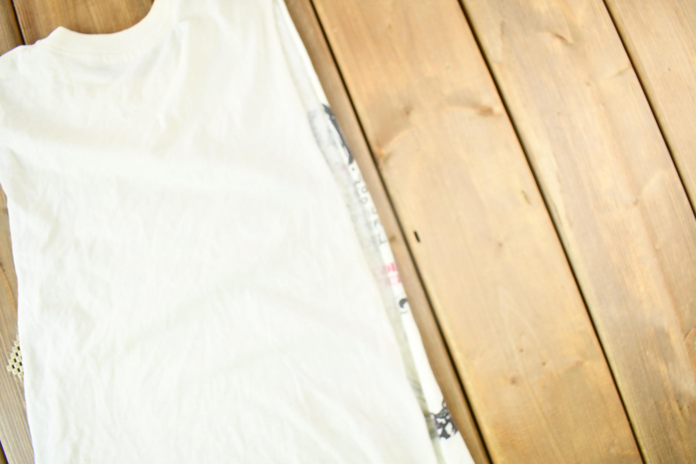 Vintage 1984 Dirty Rotten Imbeciles Violent Pacification Band Tee