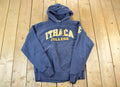 Vintage 1990s Champion Ithaca College Hoodie Sweatshirt