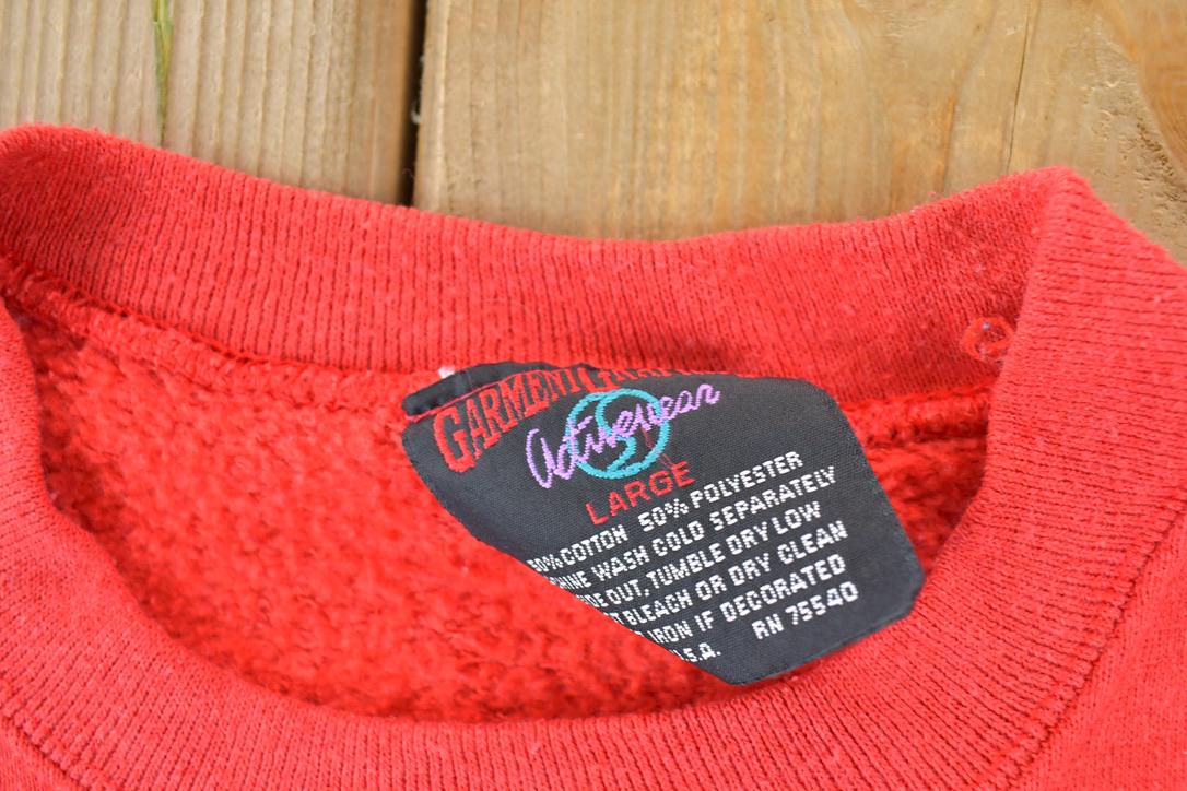 Vintage 1990s Santa's Wittl Helper Tweety Bird Christmas Looney Tunes Crewneck