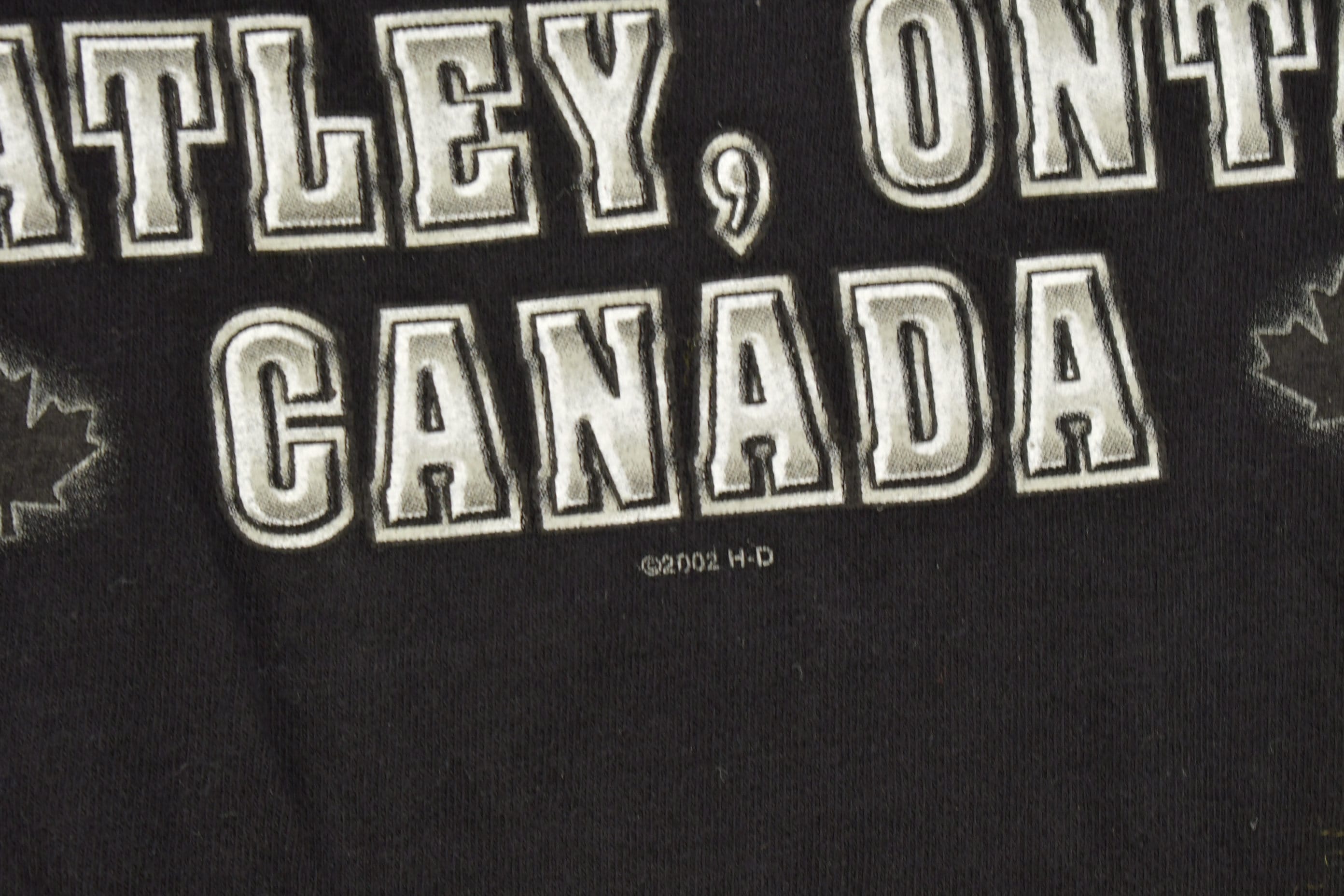 Vintage 2002 Robinson Harley Davidson Wheatley Ontario Canada T-Shirt