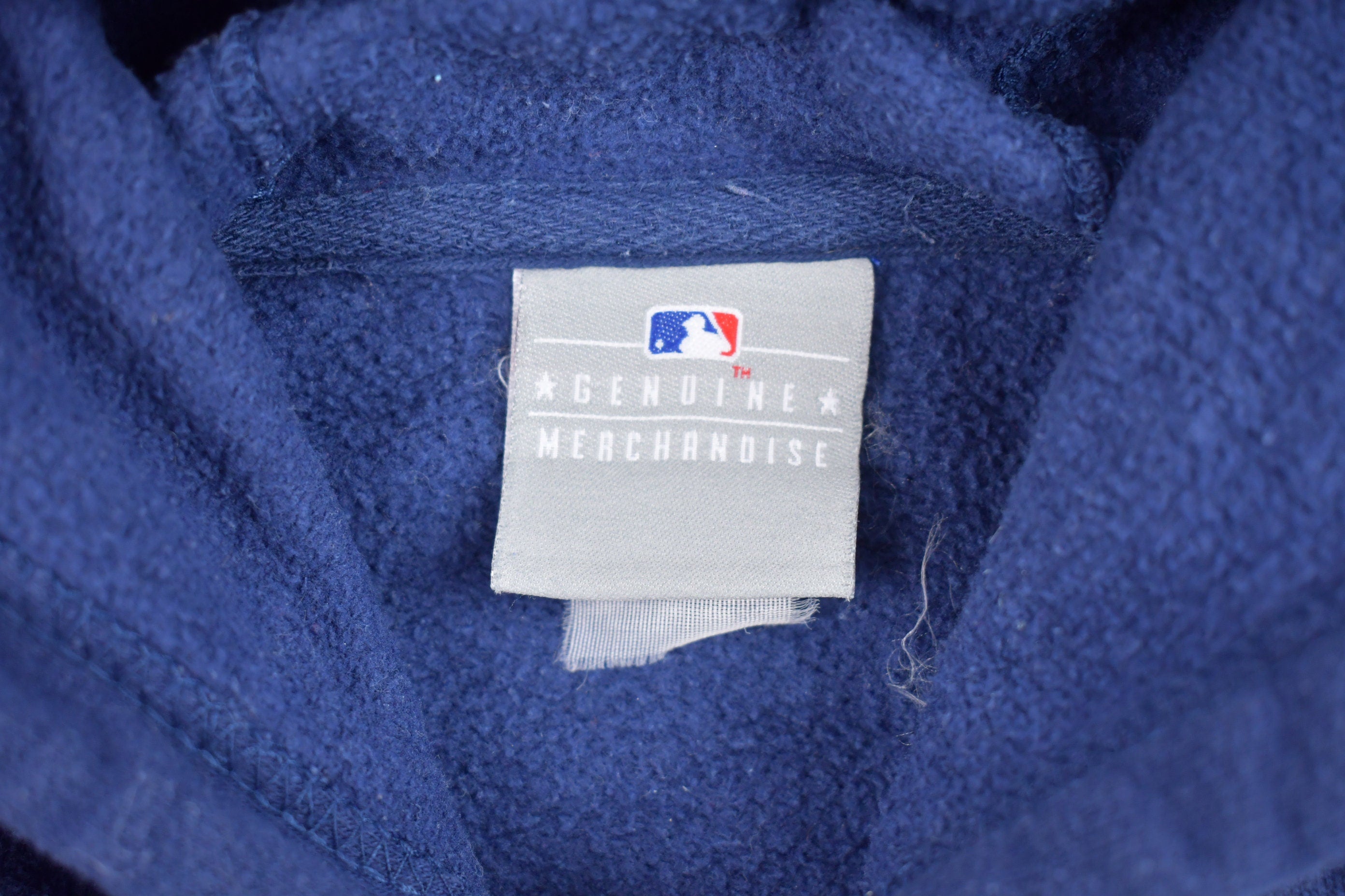 Vintage 1990s Detroit Lions Graphic Hoodie  MLB  90s Hoodie  Vintage Sweater  90s  Embroidered  Color Block  American Baseball