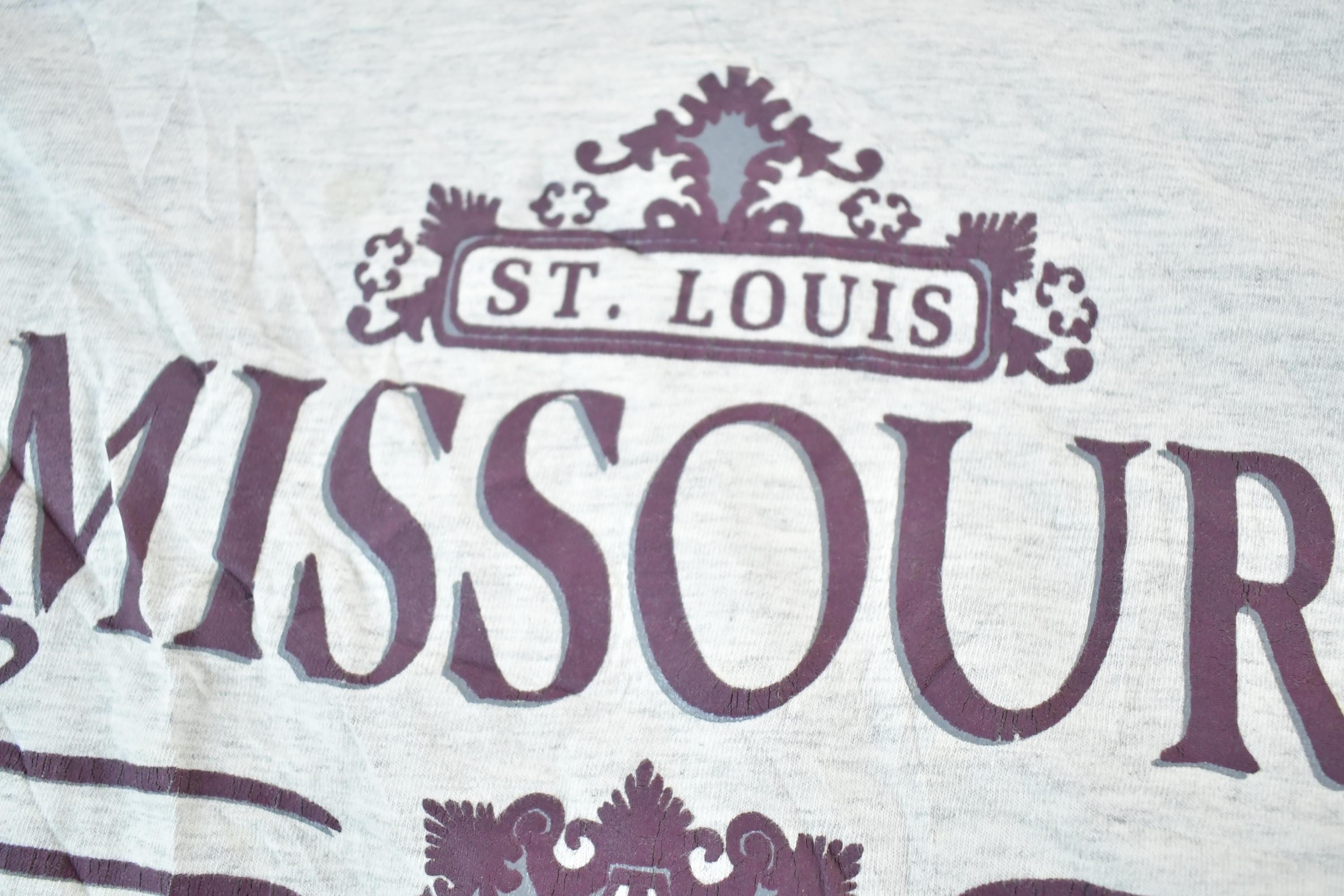 Vintage 1990s Jansport St Louis Missouri Souvenir T-Shirt Mens M  Made In USA  Vintage Vacation Tee  Rare Destination Tee  Summer Shirt