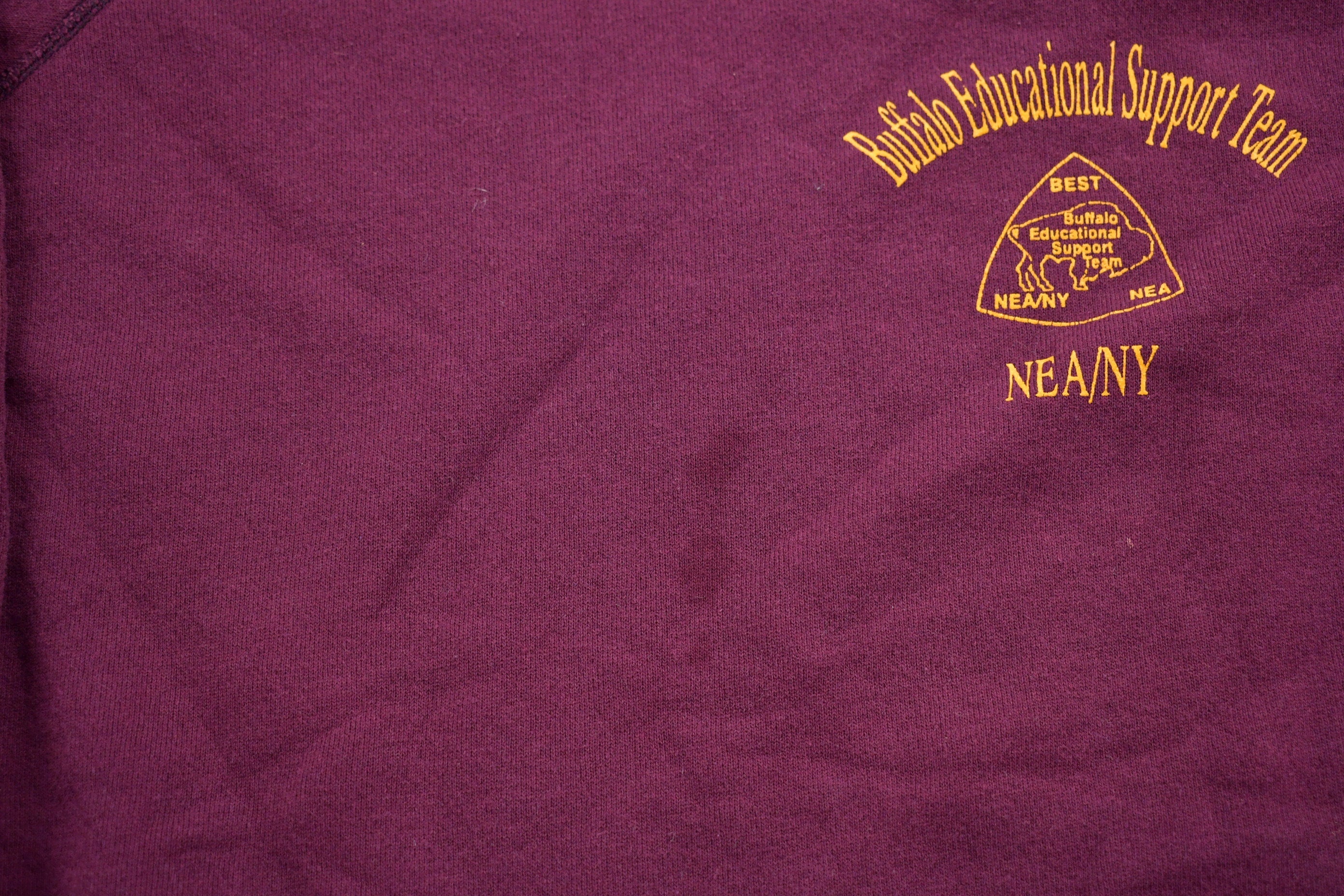 Vintage 1990s Buffalo Educational Support Team Crewneck Sweatshirt