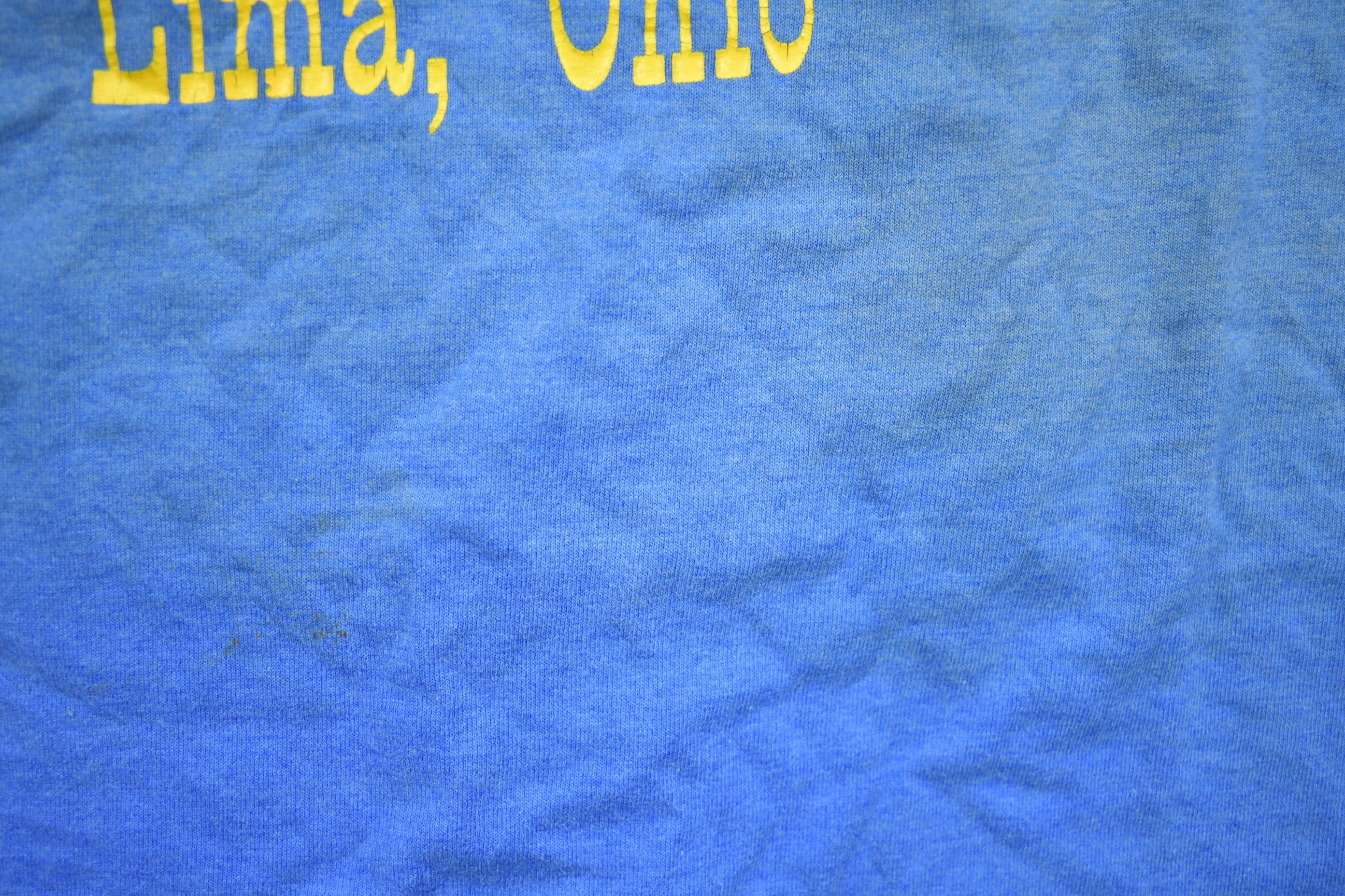 Vintage 1990s Lima Ohio Fort Shawnee Lions T-Shirt