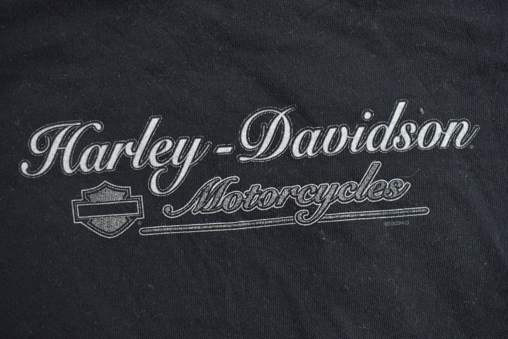 Vintage 2003 Harley Davidson Motorcycles Medina Ohio Long Sleeve T-Shirt