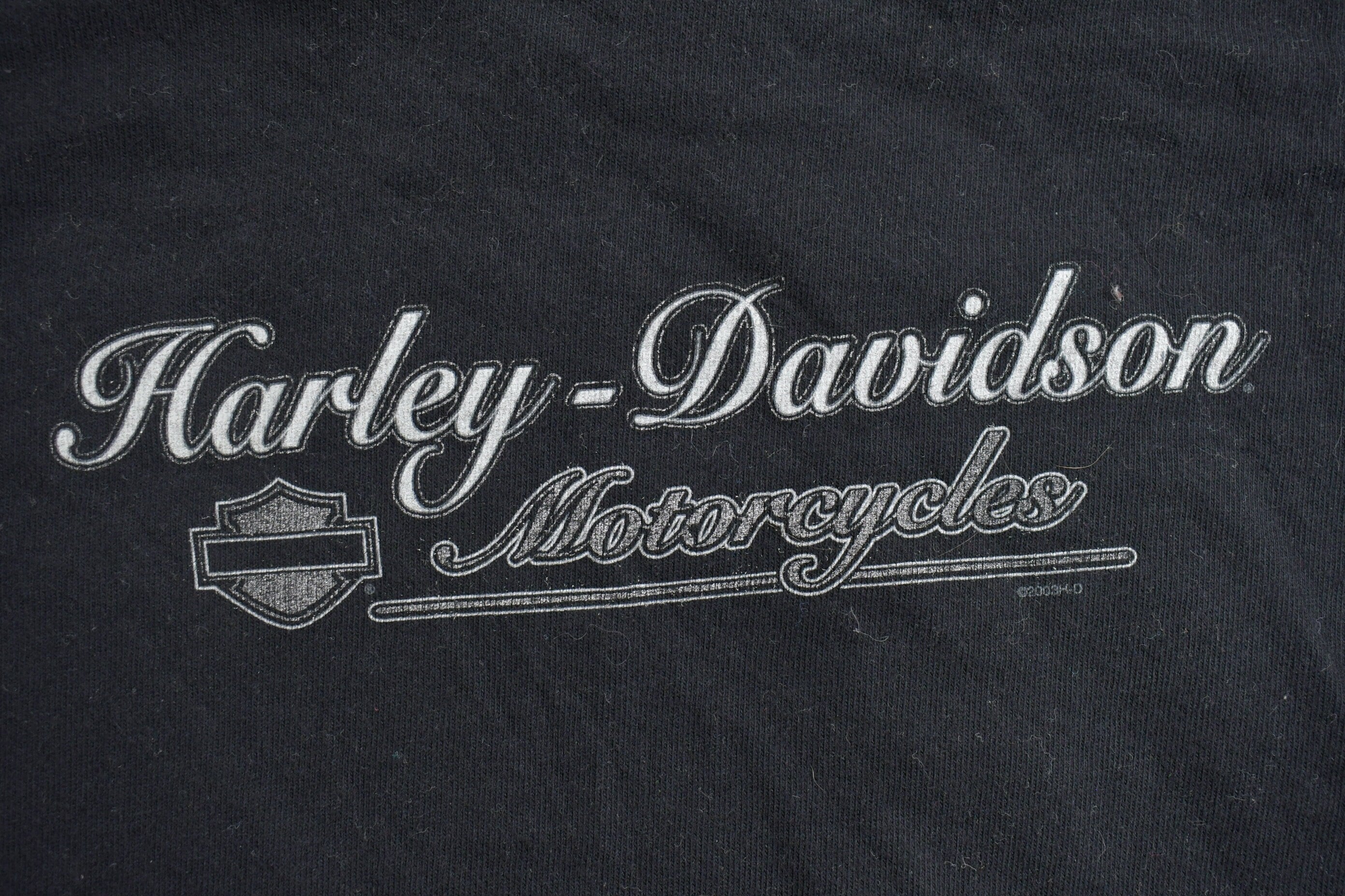 Vintage 2003 Harley Davidson Motorcycles Medina Ohio Long Sleeve T-Shirt