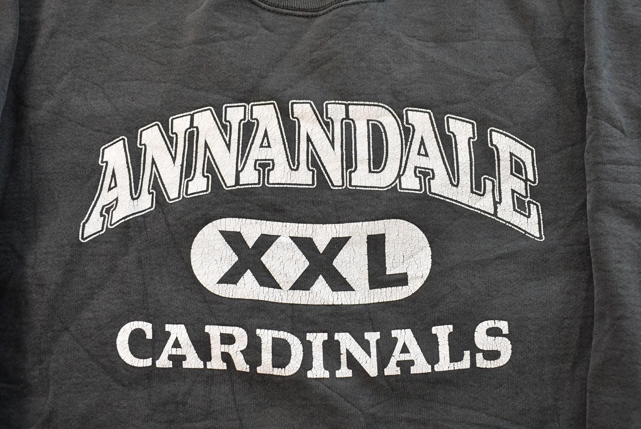 Vintage 1990s Annandale Cardinals Crewneck Sweatshirt Men's L